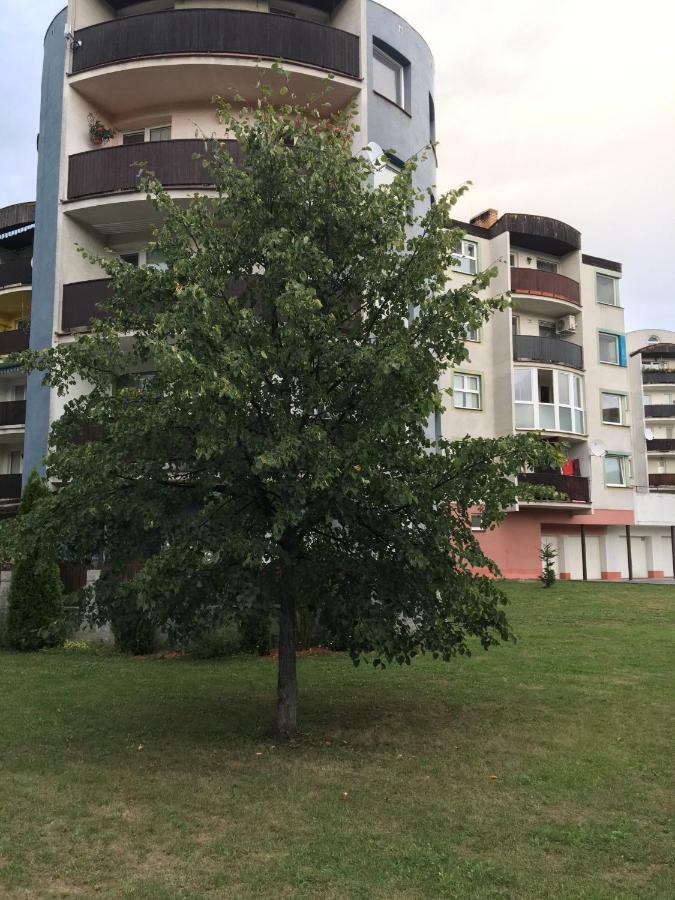 Apartment Tekelova 95M2 Прешов Экстерьер фото